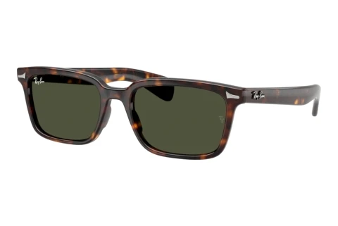 Solbriller Ray-Ban BRUNEL (RB2234 902/31)