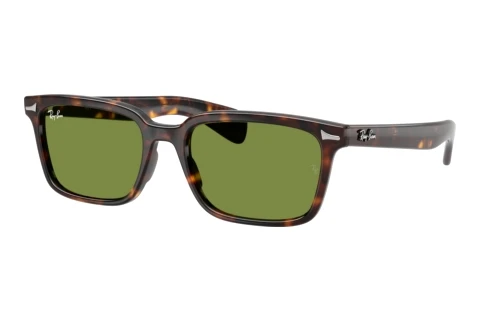 Solbriller Ray-Ban BRUNEL (RB2234 902/4E)