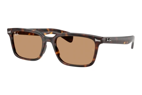 Solbriller Ray-Ban BRUNEL (RB2234 902/53)