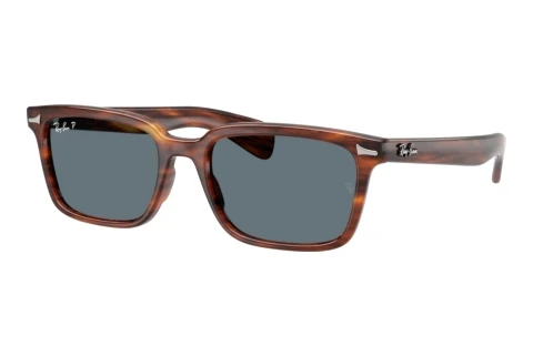 Solbriller Ray-Ban BRUNEL (RB2234 954/3R)