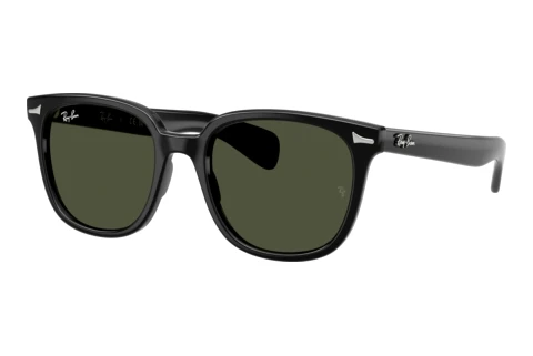 Solbriller Ray-Ban BRUNEL II (RB2235 901/31)