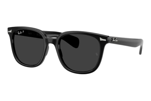 Solbriller Ray-Ban BRUNEL II (RB2235 901/48)