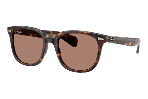 Solbriller Ray-Ban BRUNEL II (RB2235 902/1A)