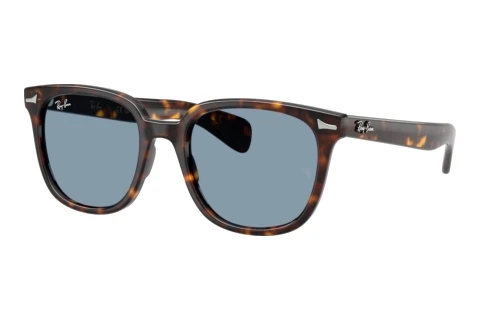 Solbriller Ray-Ban BRUNEL II (RB2235 902/56)