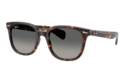 Solbriller Ray-Ban BRUNEL II (RB2235 902/71)