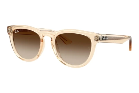 Solbriller Ray-Ban RB2237 690213
