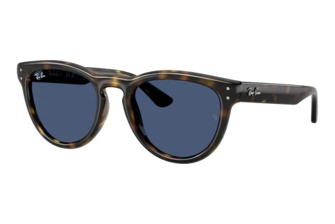 Solbriller Ray-Ban RB2237 710/80