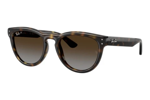 Solbriller Ray-Ban RB2237 710/T5