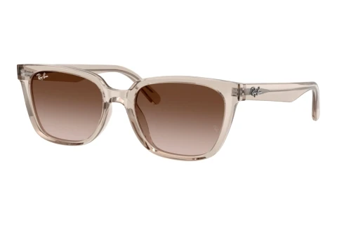 Solbriller Ray-Ban RB2243D 682713
