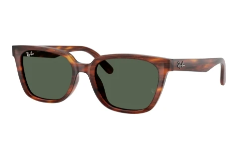 Solbriller Ray-Ban RB2243D 954/71