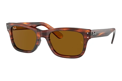 Solbriller Ray-Ban MR BURBANK (RB2283 954/33)