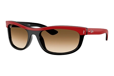 Solbriller Ray-Ban BALORAMA (RB2489 955/51)