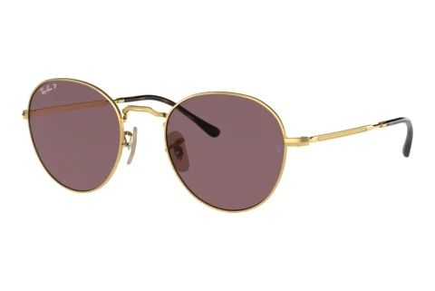 Solbriller Ray-Ban DAVID (RB3582 001/AF)