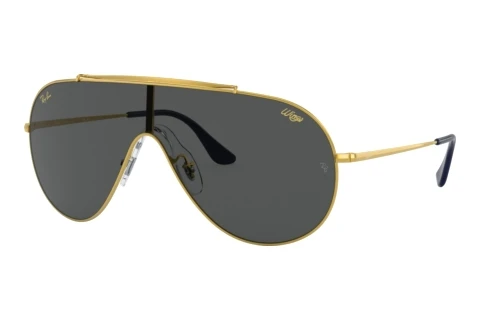 Solbriller Ray-Ban WINGS (RB3597 924687)