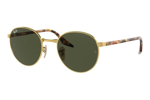 Solbriller Ray-Ban RB3691 001/31