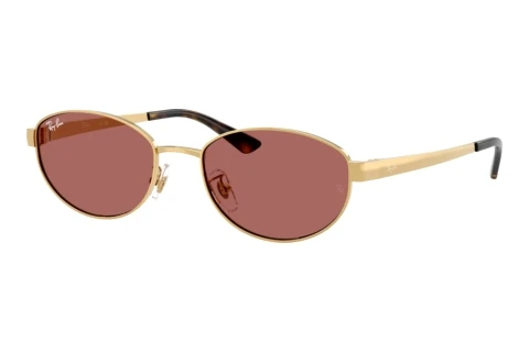 Solbriller Ray-Ban RB3774D 001/69