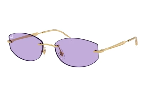 Solbriller Ray-Ban RB3792 001/1A