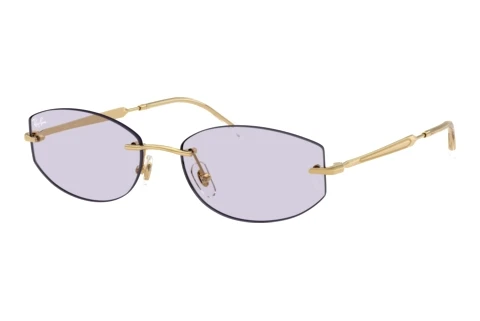 Solbriller Ray-Ban RB3792 001/MH