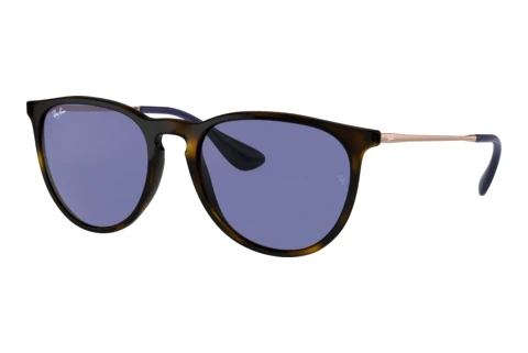 Solbriller Ray-Ban ERIKA (RB4171 639276)