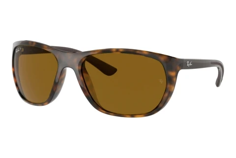Solbriller Ray-Ban RB4307 710/83