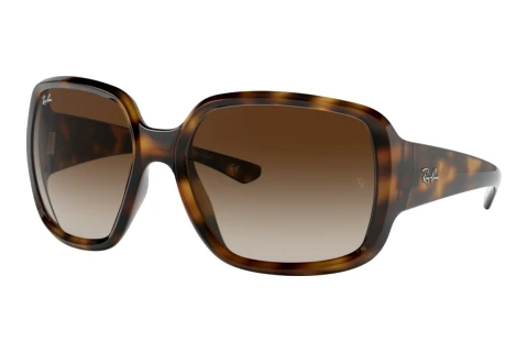 Solbriller Ray-Ban POWDERHORN (RB4347 710/13)