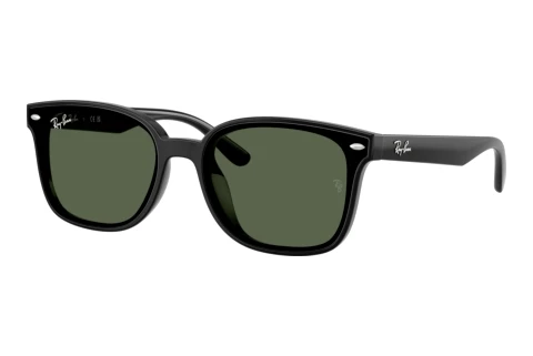 Solbriller Ray-Ban RB4461D 601/71