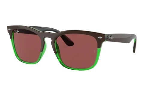Solbriller Ray-Ban STEVE (RB4487 663469)