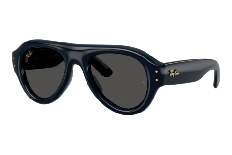 Solbriller Ray-Ban RB4925 689587