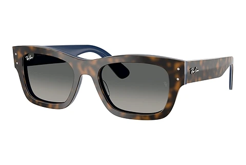 Solbriller Ray-Ban JOSEPH (RB7683S 140171)