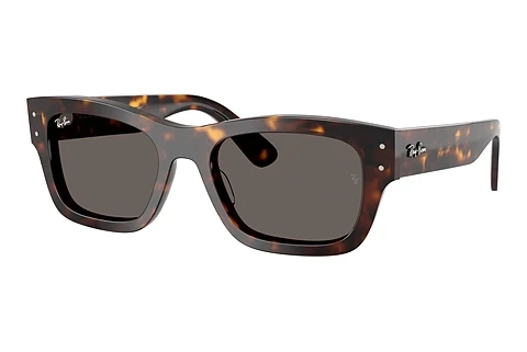 Solbriller Ray-Ban JOSEPH (RB7683S 902/B1)