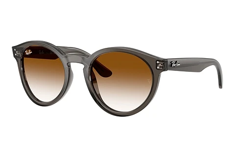 Solbriller Ray-Ban RBR0505S 6707CB