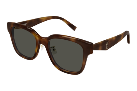 Solbriller Saint Laurent SL M173/K 003