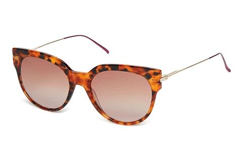 Solbriller Scotch and Soda 507005 104