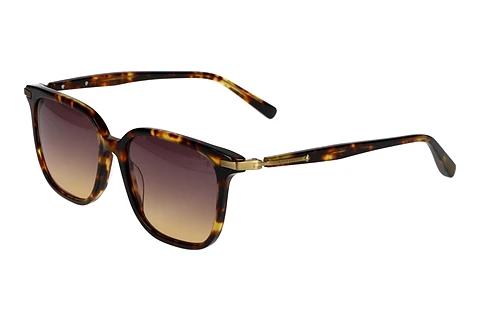 Solbriller Scotch and Soda 507032 102