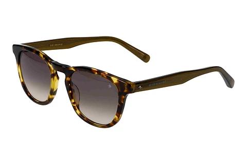 Solbriller Scotch and Soda 508018 193