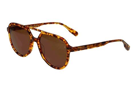 Solbriller Scotch and Soda 508035 103