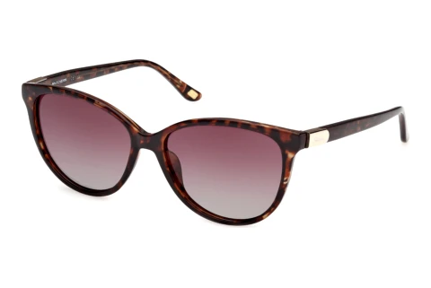 Solbriller Skechers SE00173 47H