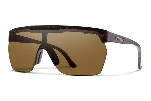 Solbriller Smith XC N9P/XC