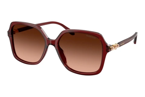 Solbriller Swarovski SK6067 10735M