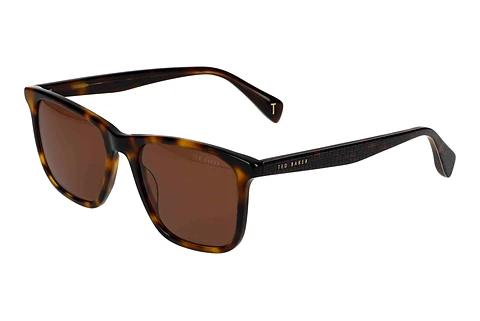 Solbriller Ted Baker 391724 104