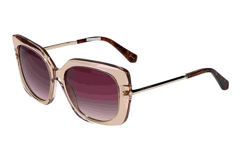 Solbriller Ted Baker 391732 192