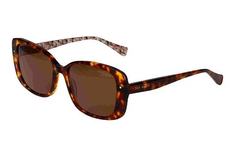 Solbriller Ted Baker 391740 100