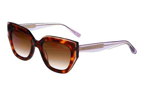 Solbriller Ted Baker 391757 100