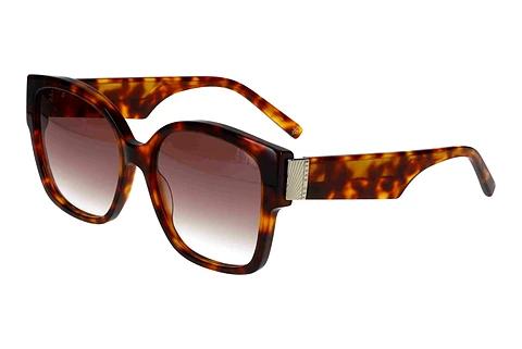 Solbriller Ted Baker 391767 100
