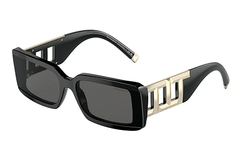 Solbriller Tiffany TF4197 8001S4