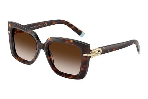 Solbriller Tiffany TF4199 80153B