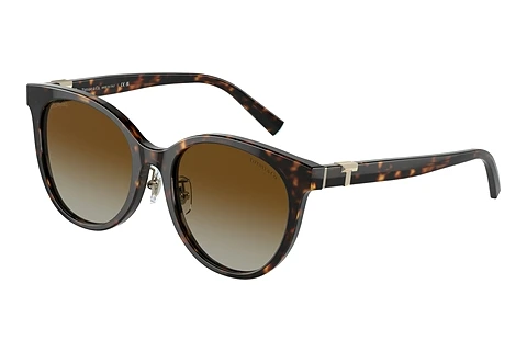Solbriller Tiffany TF4209D 8015T5