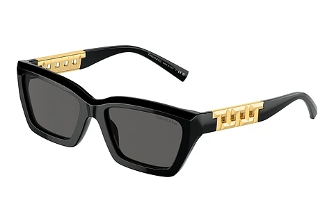 Solbriller Tiffany TF4213 8001S4