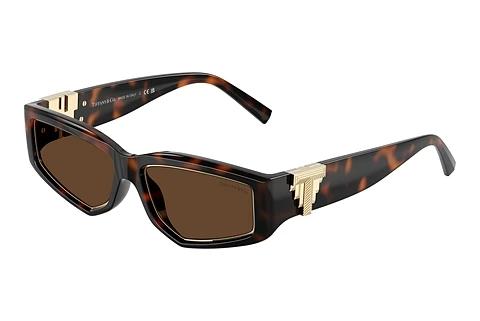 Solbriller Tiffany TF4234U 80153G