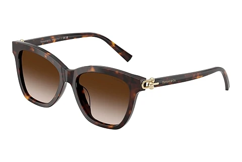 Solbriller Tiffany TF4241D 80153B